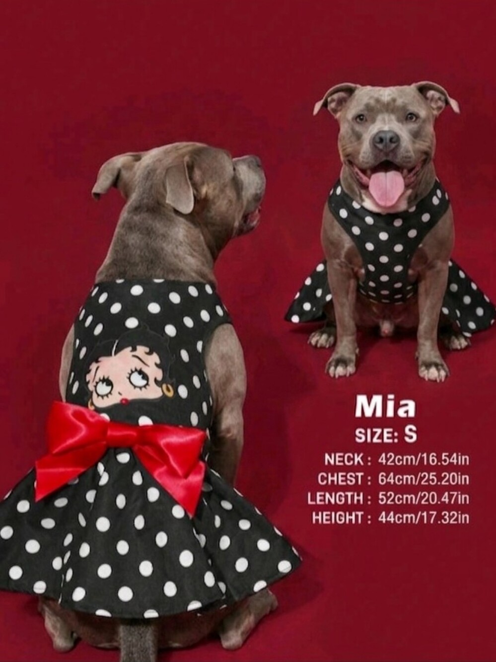 Betty Boop Black & White Polka Dot Dog Dress with Red Bow